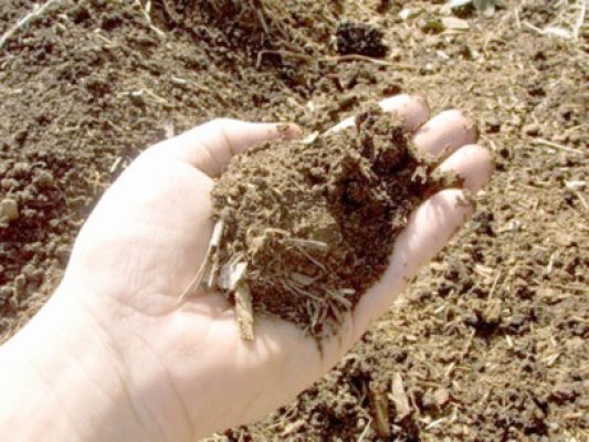 Nămolul din canalizare, îngrăşământ gratis în agricultură